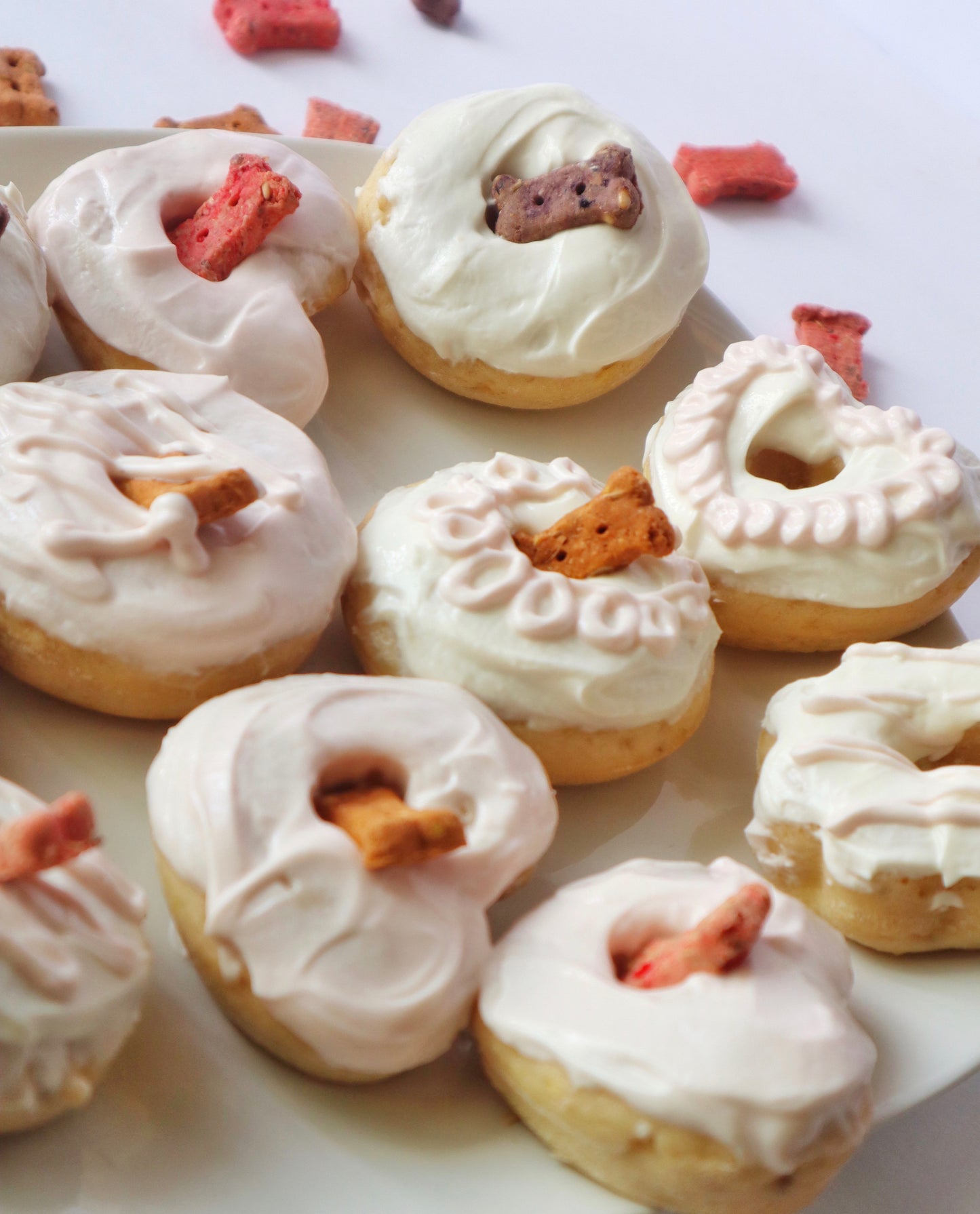Doggy Donuts