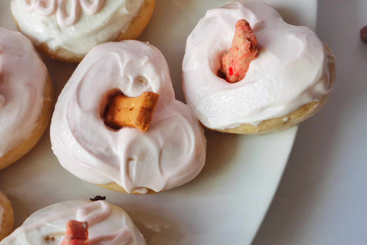 Doggy Donuts