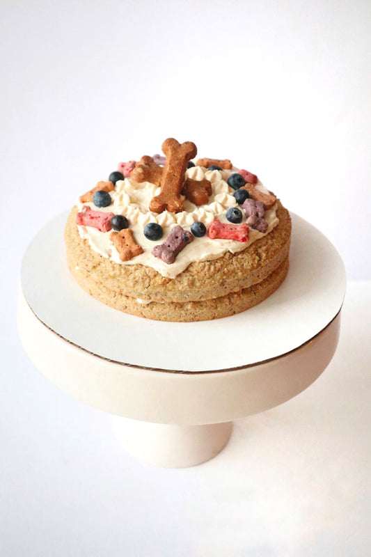 Dog Birthday Cake