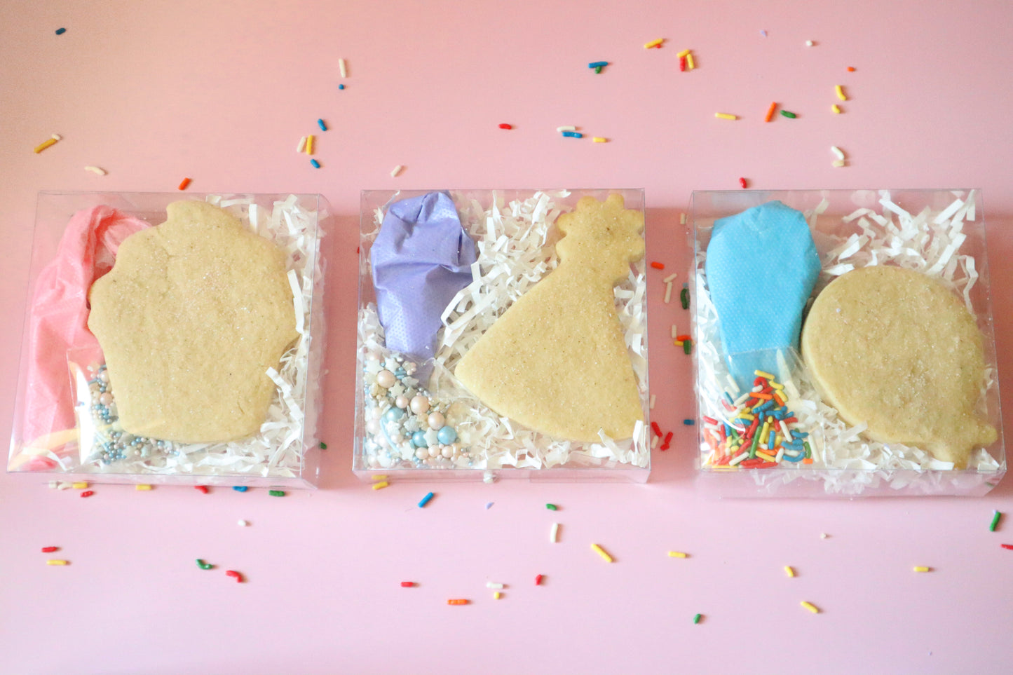 Individual Cookie Kit | Party Favors